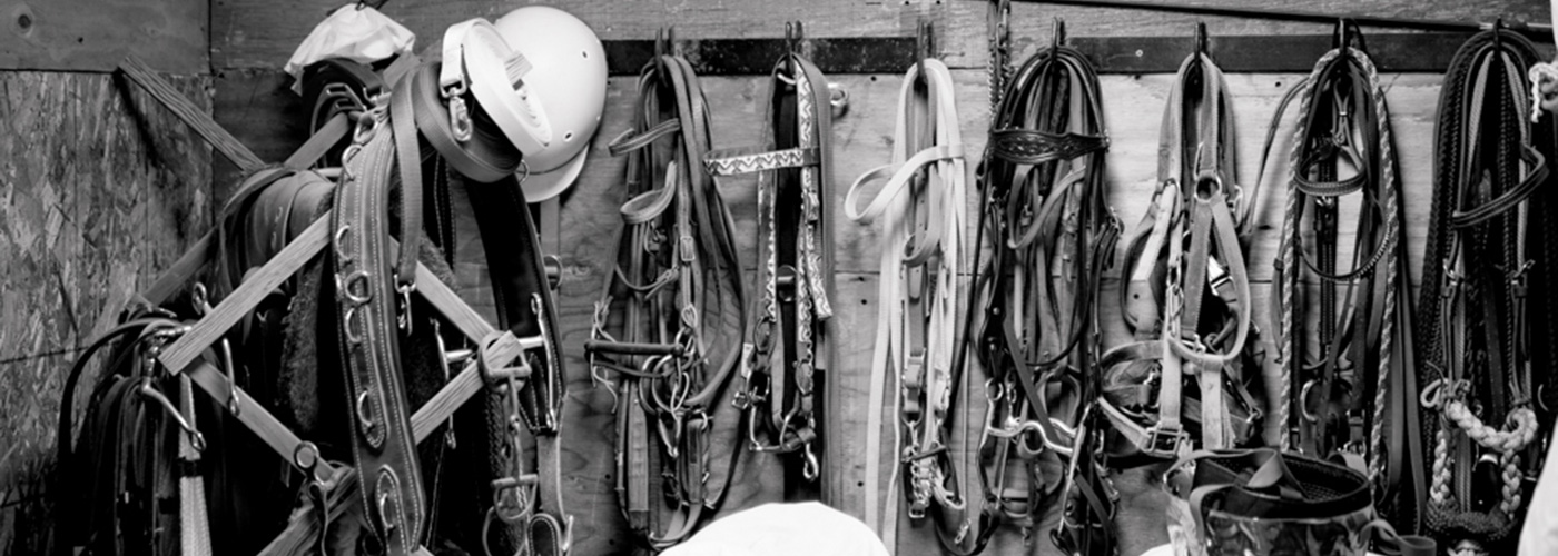 FAQ’s | Stride Alaska Therapeutic Riding