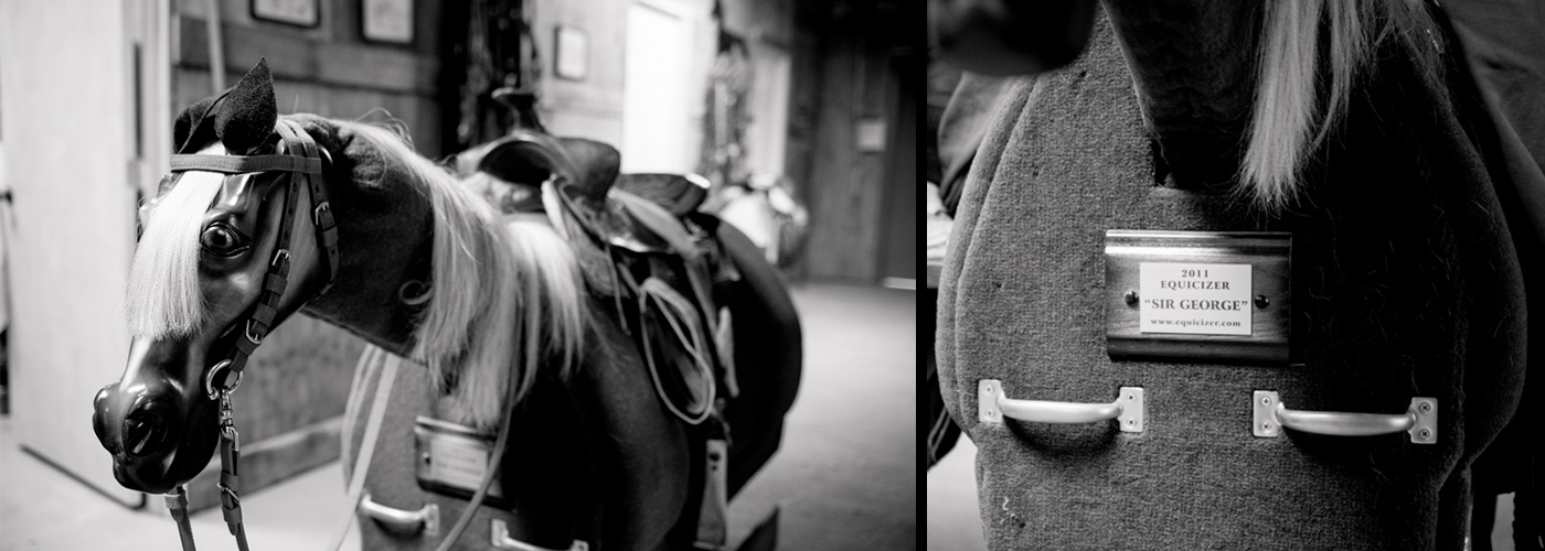 THE EQUICIZER | Stride Alaska Therapeutic Riding